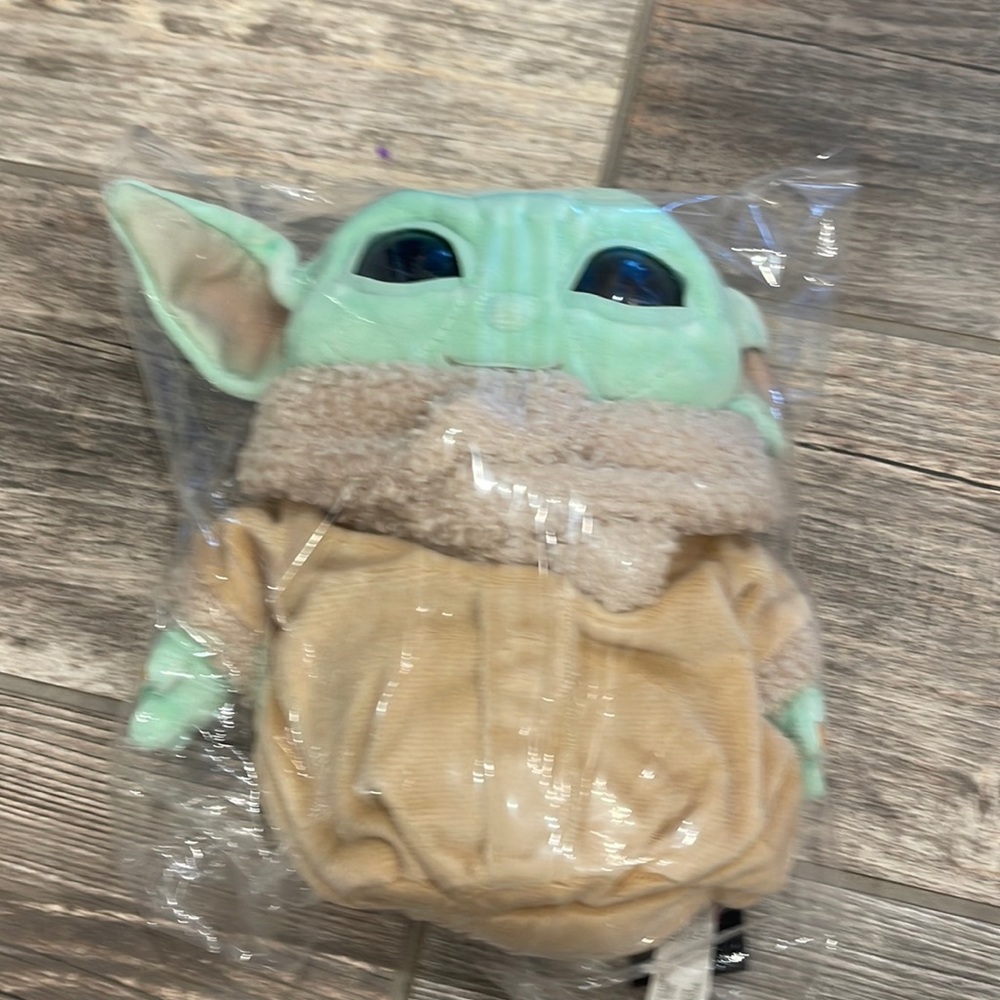 Small Mandalorian (baby yoda) in bag.